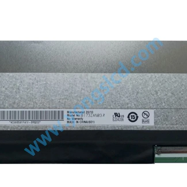 B173ZAN03.2 LCD Display 
